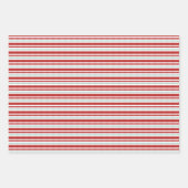 キュートレッドラディバグパーソナライズされた子供の誕生日 ラッピングペーパーシート (正面2)