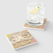 キュートロボハムスターズグルメ ストーンコースター (横)