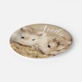 キュートロボハムスターズグルメ ペーパープレート (アングル)