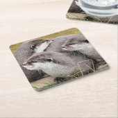 キュートーターズ紙コースター スクエアペーパーコースター (アングル)