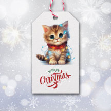 キュート包まれたな子猫インホリデーライト