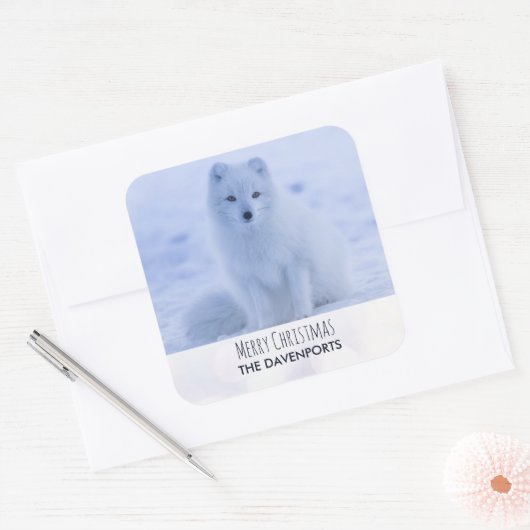 キュート北極キツネオンスノーメリークリスマス スクエアシール (封筒)