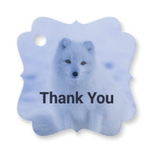 キュート北極キツネオンスノー