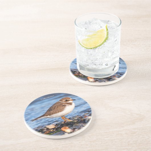 キュート半斑鳥ショアバード冬のビーチ コースター (側面)