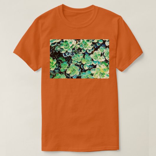 キュート多肉植物 Tシャツ (デザイン正面)