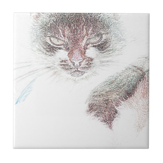 キュート怒ク顔スケッチ タイル (正面)