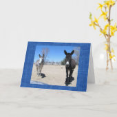 キュート獣医科大学院西部ランチファームDVM カード (黄色い花)