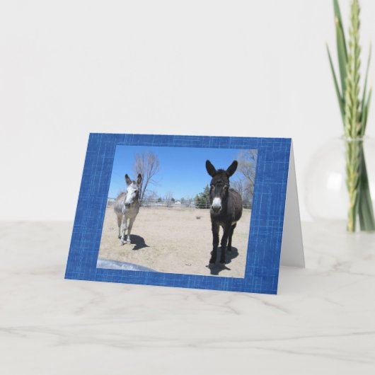 キュート獣医科大学院西部ランチファームDVM カード (正面)