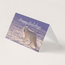 キュート白北極キツネ雪冬写真