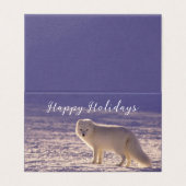 キュート白北極キツネ雪冬写真 (外部フラット)