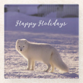 キュート白北極キツネ雪冬写真 ガラスコースター