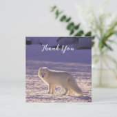 キュート白北極キツネ雪冬写真 サンキューカード (スタンド正面)