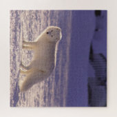 キュート白北極キツネ雪冬写真 ジグソーパズル (横)