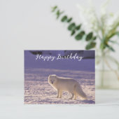 キュート白北極キツネ雪冬写真 ポストカード (スタンド正面)