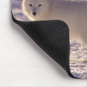 キュート白北極キツネ雪冬写真 マウスパッド (コーナー)