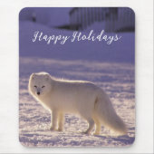 キュート白北極キツネ雪冬写真 マウスパッド (正面)