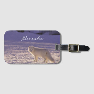 キュート白北極キツネ雪冬写真 ラゲッジタグ