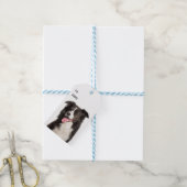 キュート縁どコリーパピードックラバー白黒 ギフトタグ (より糸付き)