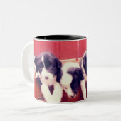 キュート縁どコリー子犬の動物アート ツートーンマグカップ (正面左)