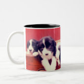 キュート縁どコリー子犬の動物アート ツートーンマグカップ (左)