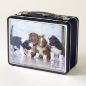 キュート縁どコリー子犬 メタルランチボックス (裏面)