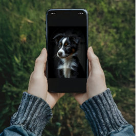 キュート縁どコリー ポスター