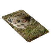 キュート豚プレミアムマグネット マグネット (右側)