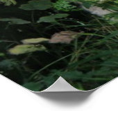 キュート貪欲食べ物羊プリント ポスター (角)