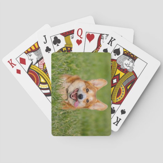 キュート遊コーギの芝生 トランプ (裏面)