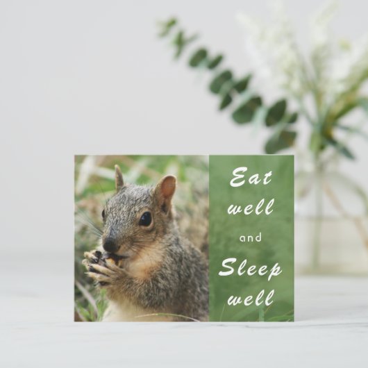 キュート食べリスグウェルとスリープウェルポストカード ポストカード (スタンド正面)