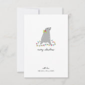 キュート・シール・クリスマス (正面)