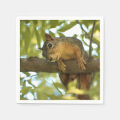 キュート&好奇心リス自然写真 スタンダードカクテルナプキン (正面)