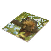 キュート&好奇心リス自然写真 タイル (側面)