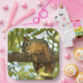 キュート&好奇心リス自然写真 ペーパープレート (パーティー)