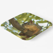 キュート&好奇心リス自然写真 ペーパープレート (傾斜あり)