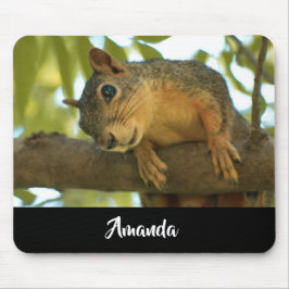 キュート&好奇心リス自然写真 マウスパッド