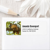 キュート&好奇心リス自然写真 ラベル (インサイチュ)