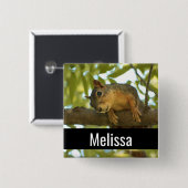 キュート&好奇心リス自然写真 缶バッジ (正面&裏面)