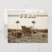 キューバのサトウキビ農園 ポストカード (正面/裏面)