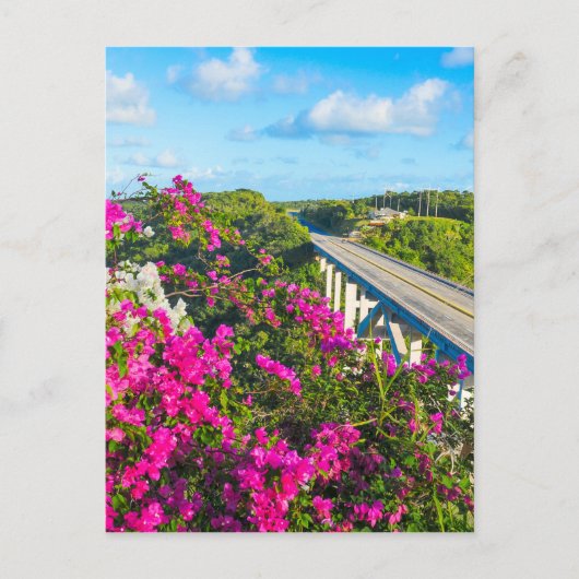 キューバのマタンザスを安全に旅行 ポストカード (正面)