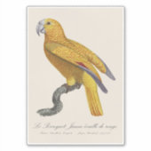 キューバの楽園のオウム、Psittacus Paradisi シール (正面)