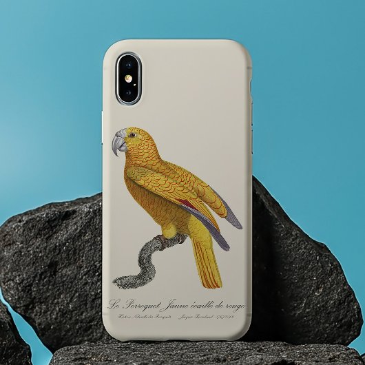 キューバの楽園のオウム、Psittacus Paradisi Case-Mate iPhoneケース