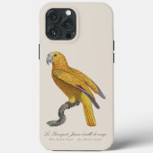 キューバの楽園のオウム、Psittacus Paradisi Case-Mate iPhoneケース (裏面)
