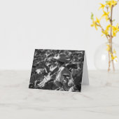 キューバはメッセージカードを捕獲しました カード (黄色い花)