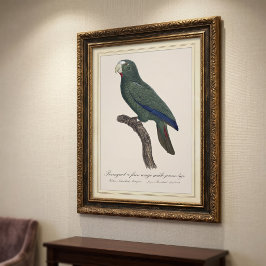 キューバオウム 若鳥 Amazona Leucocephala フォトプリント