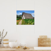 キューバタバコ農場と乾燥ハウス ポスター (キッチン)