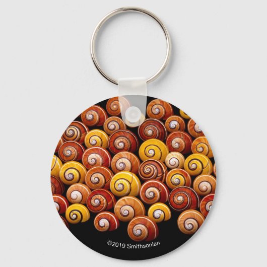 キューバツリーカタツムリ キーホルダー (正面)