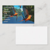 キューバレッドマカオ 名刺 (正面/裏面)