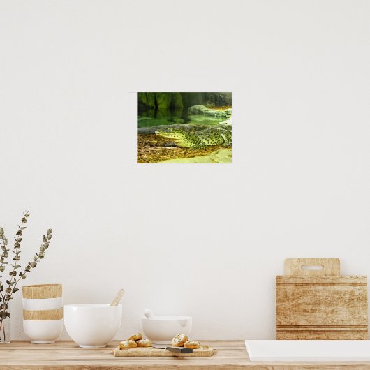 キューバワニ ポスター (キッチン)