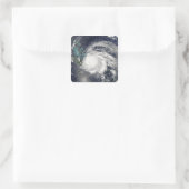 キューバ上空のハリケーンIke、ヒスパニオーラ スクエアシール (バッグ)